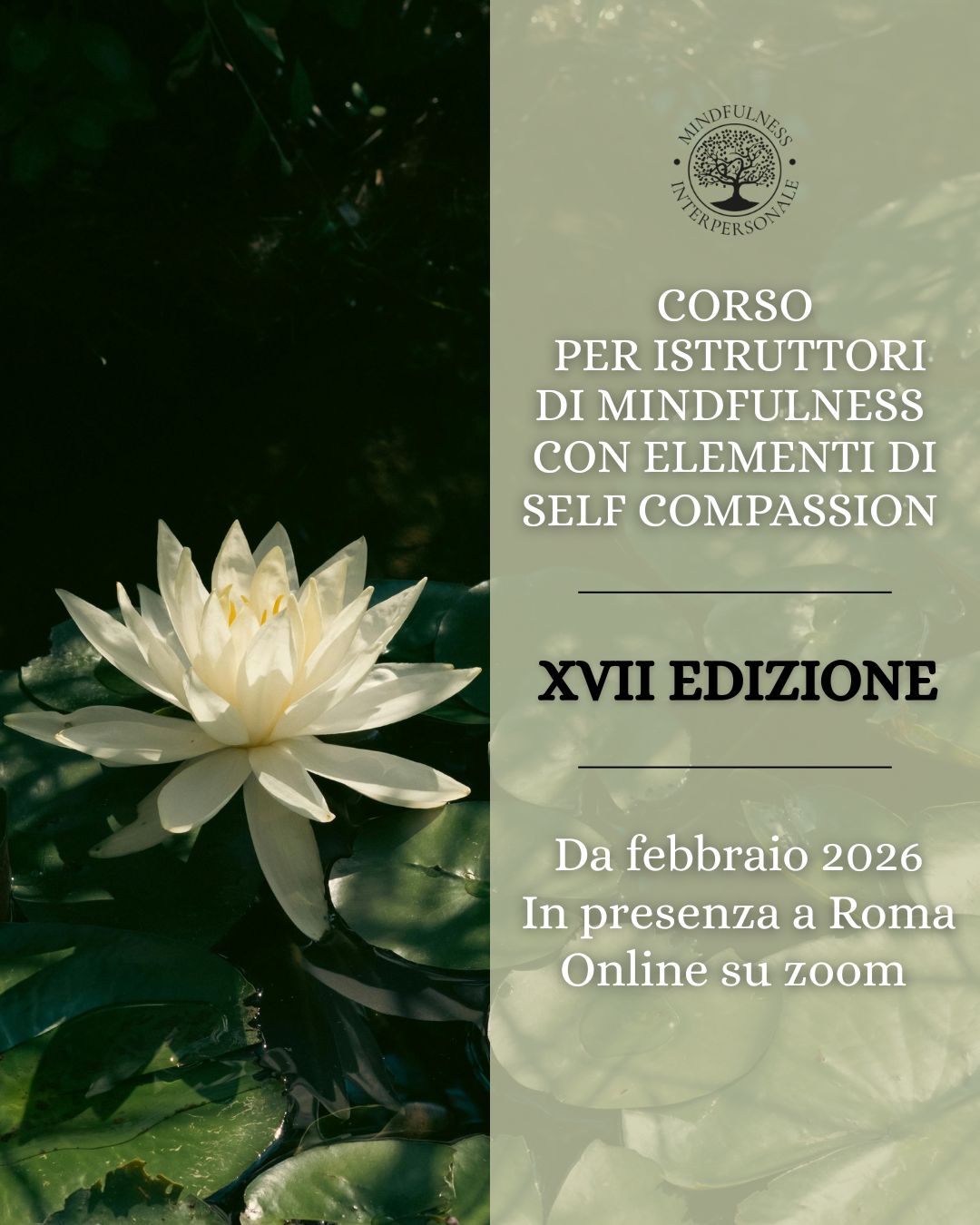 Corso per istruttori di mindfulness con elementi di self compassion ...